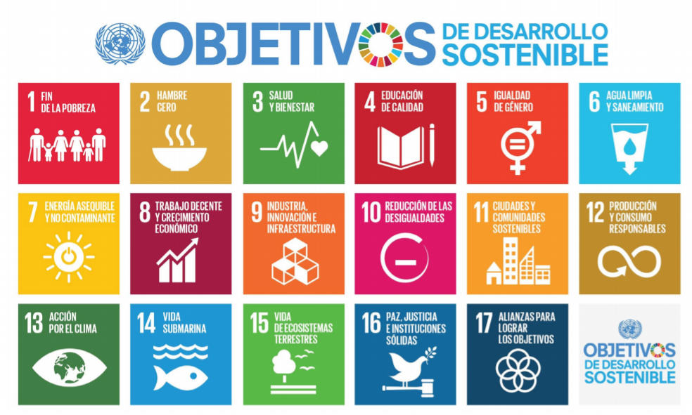 Sostenibilidad ¿A qué se refiere?